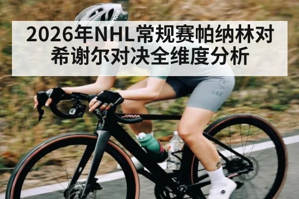 2026年NHL常规赛帕纳林对希谢尔对决全维度分析
